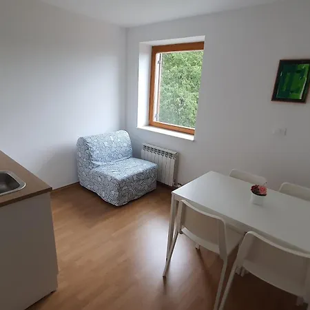 בית הארחה Prenocisca Center Mir In Dobro