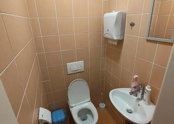 Affittacamere Prenocisca Center Mir In Dobro Solkan